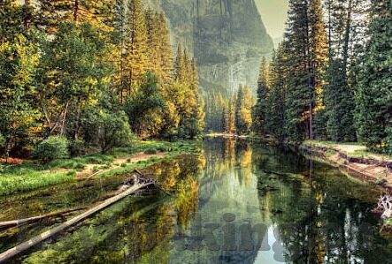 免费视频在线观看成人-解锁视觉新体验，免费视频在线观看的成人世界探索