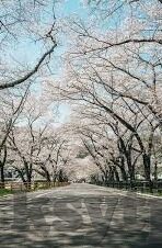 欧美日韩aV在线旡码-欧美日韩AV在线无码，文化、伦理与界限的探讨