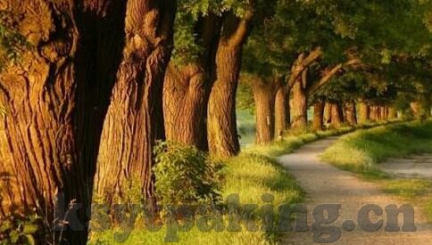 欧美日韩精品一区二区三区不卡-探索全球影视文化的多元魅力，欧美日韩精品影视的深度体验